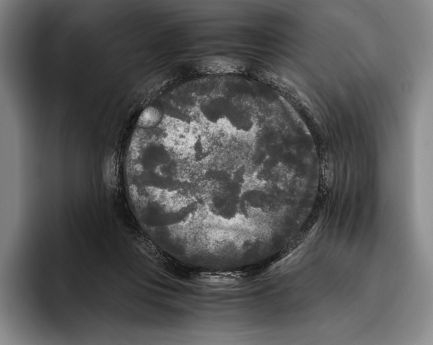 X0000096140359200802151339