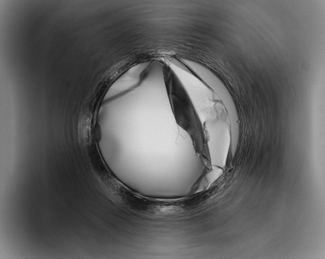 X0000096140360200802151339