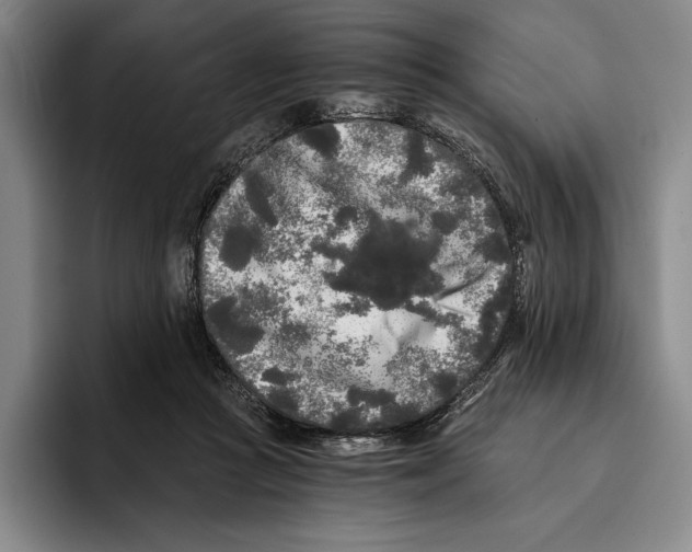 X0000096140361200802151339