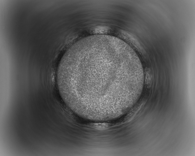 X0000096140363200802151339