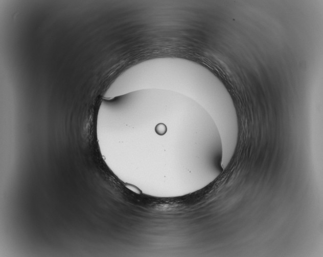 X0000096140364200802151339