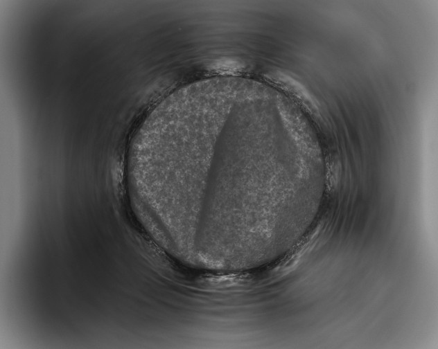 X0000096140365200802151339