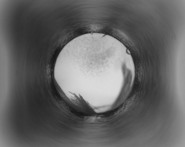X0000096140366200802151339