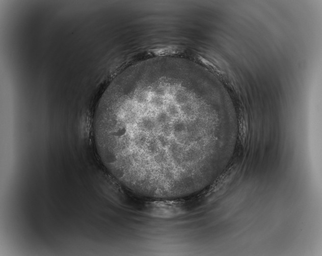 X0000096140367200802151339