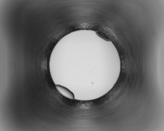 X0000096140368200802151339