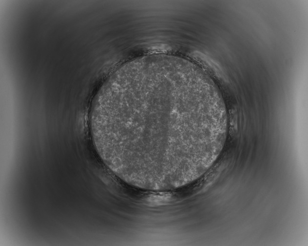 X0000096140369200802151339