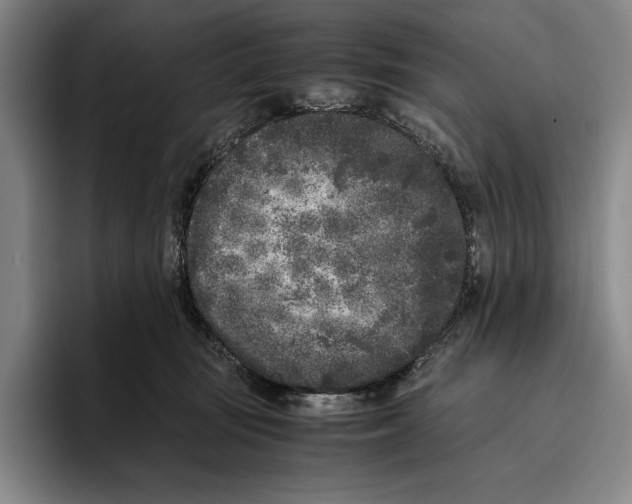 X0000096140371200802151339