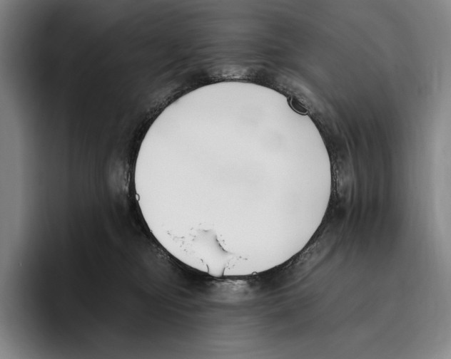 X0000096140374200802151339