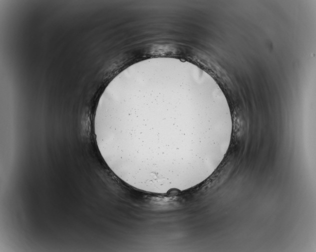 X0000096140375200802151339
