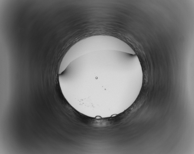 X0000096140376200802151339