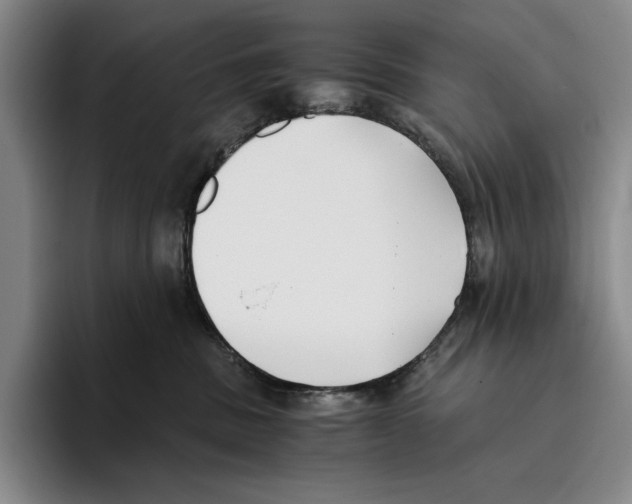 X0000096140379200802151339