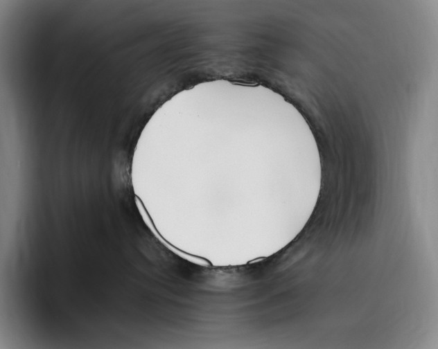 X0000096140384200802151339