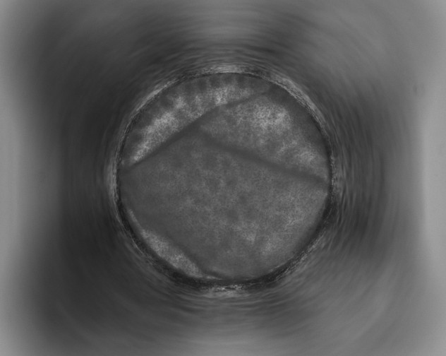 X0000096140386200802151338