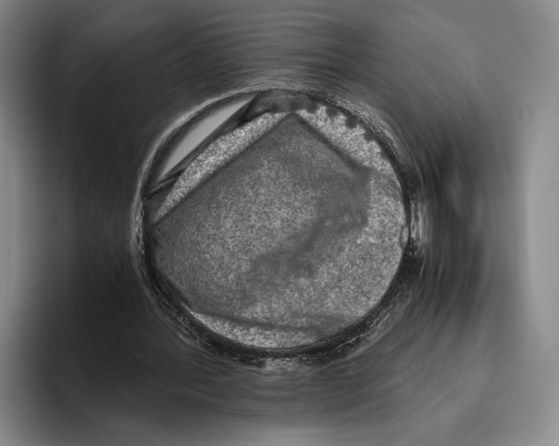 X0000096140388200802151338