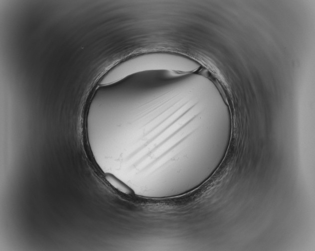 X0000096140389200802151338
