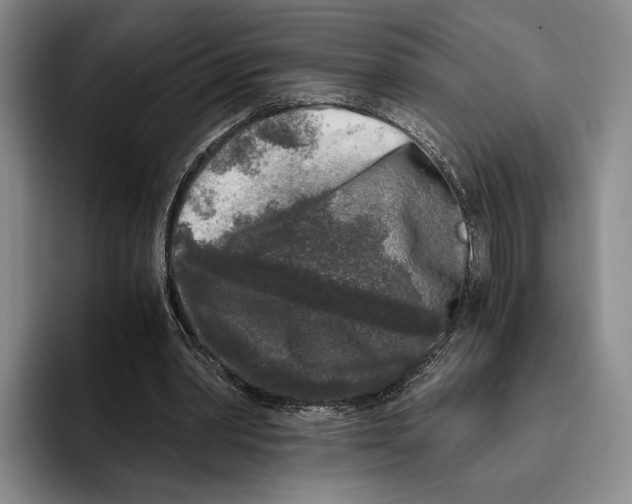X0000096140390200802151338
