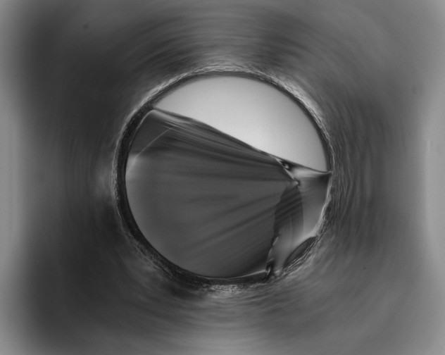 X0000096140391200802151338