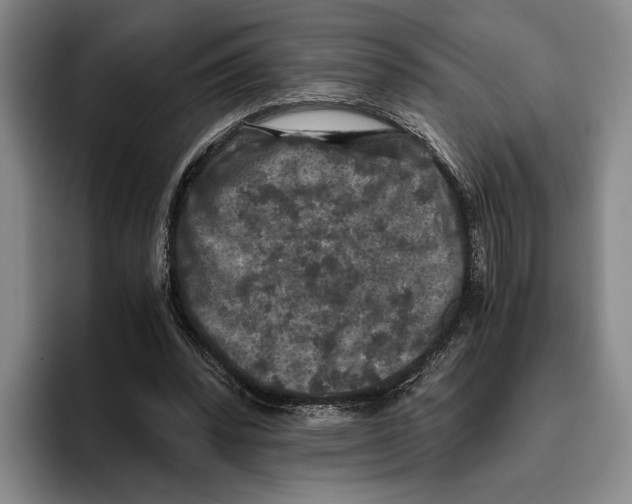 X0000096140392200802151338