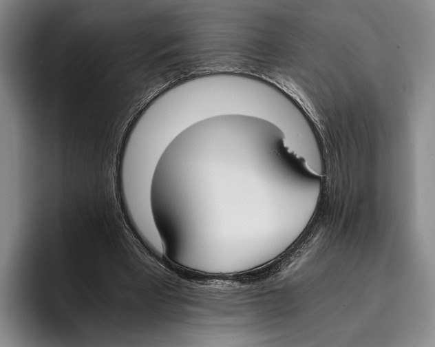 X0000096140393200802151338