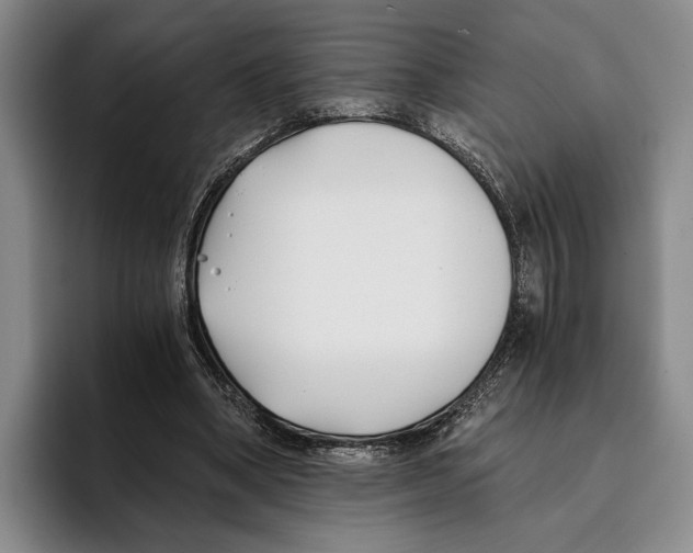 X0000096140394200802151338