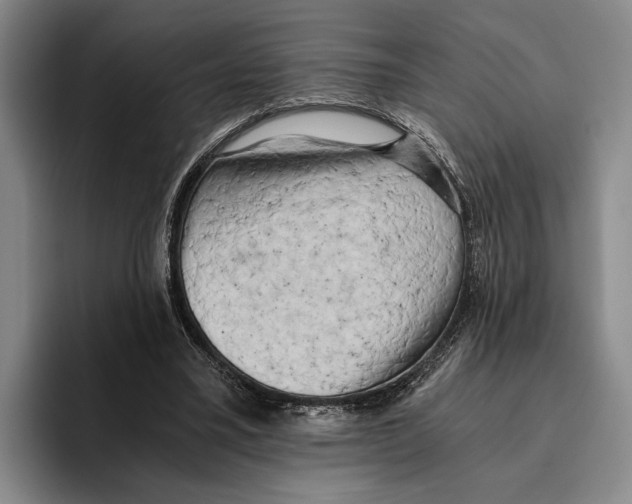 X0000096140395200802151338
