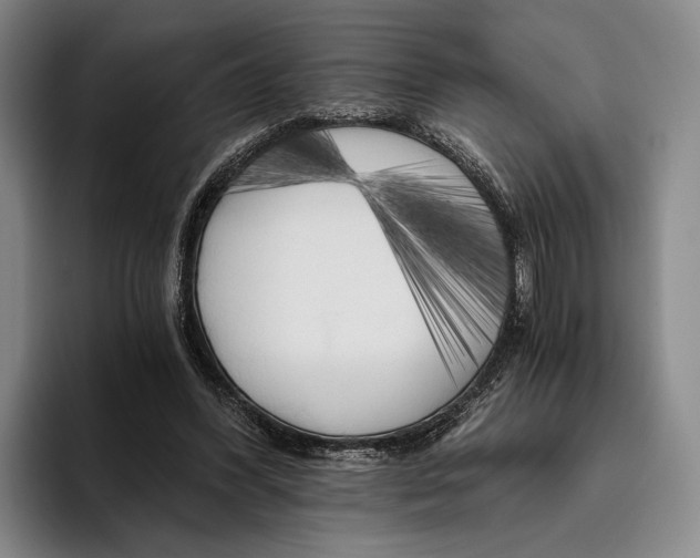 X0000096140396200802151338