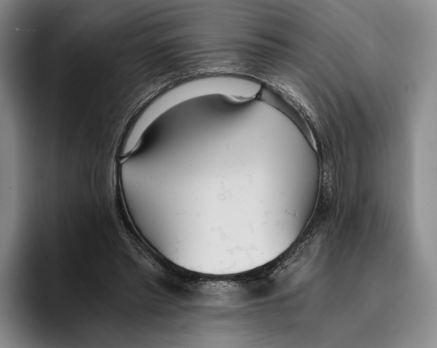 X0000096140397200802151338