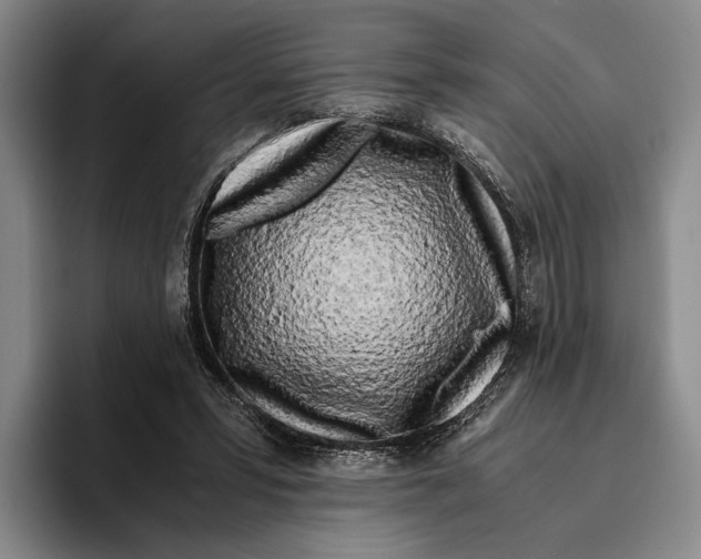 X0000096140399200802151338