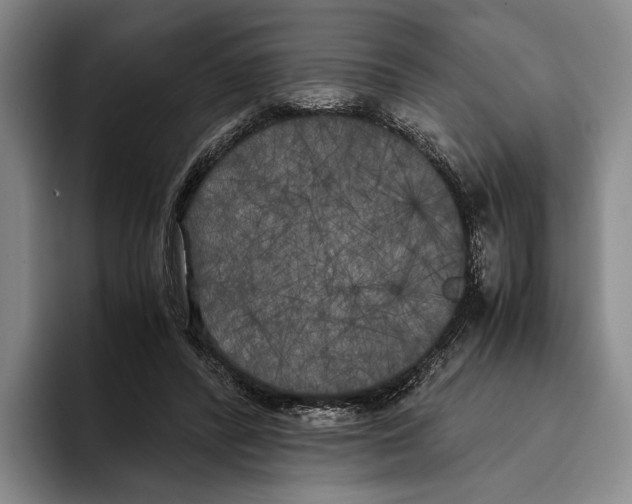 X0000096140400200802151338