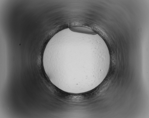 X0000096140401200802151338