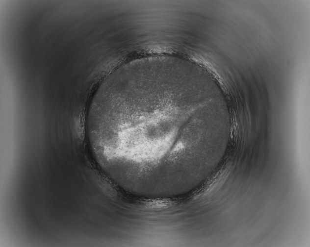 X0000096140402200802151338