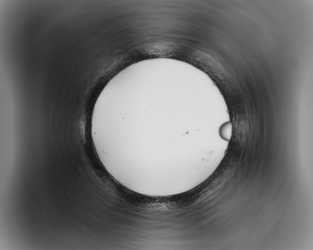 X0000096140404200802151338