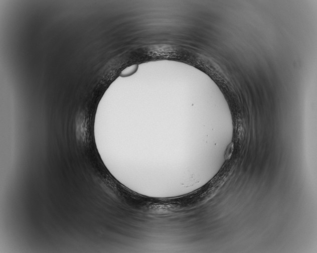 X0000096140408200802151338