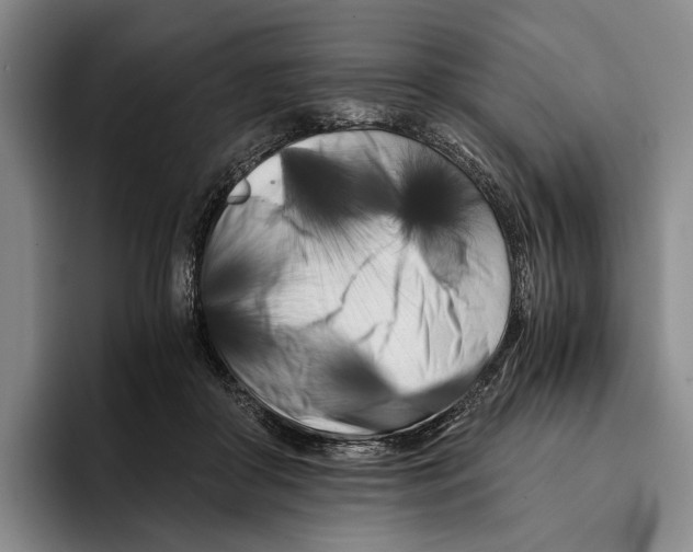 X0000096140410200802151338