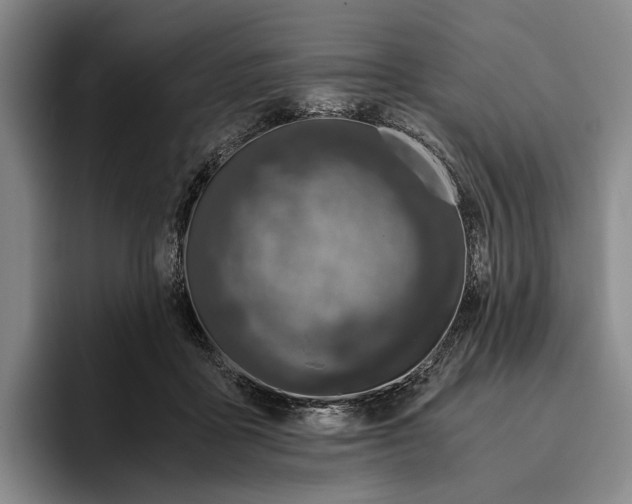 X0000096140411200802151338
