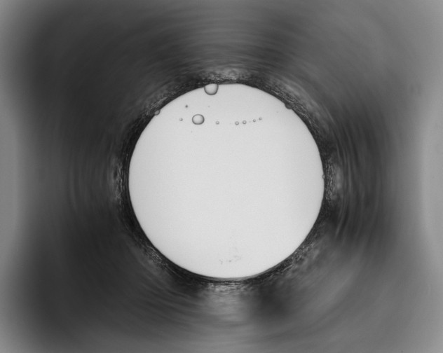 X0000096140414200802151338