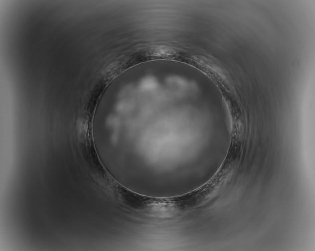 X0000096140415200802151338