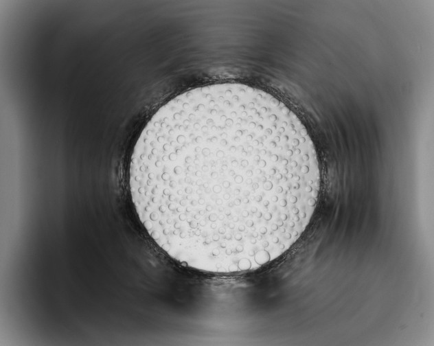 X0000096140418200802151338