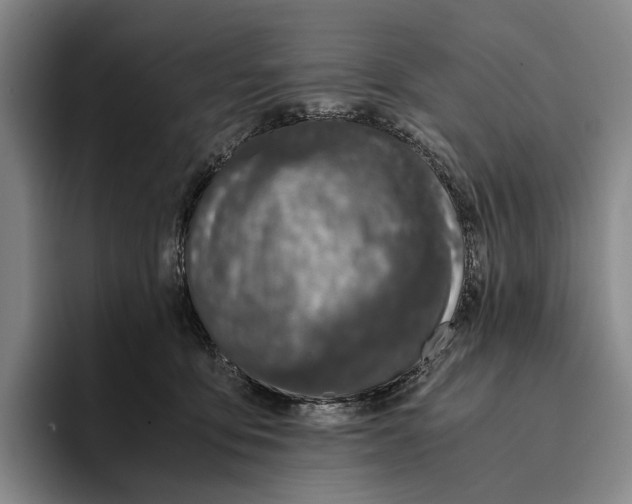 X0000096140419200802151338