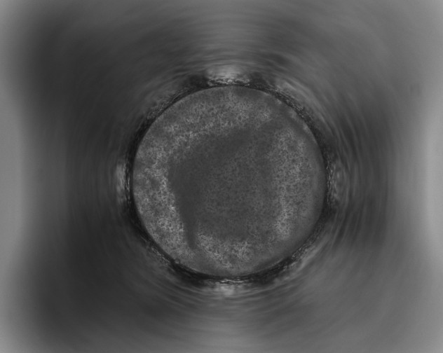 X0000096140420200802151338