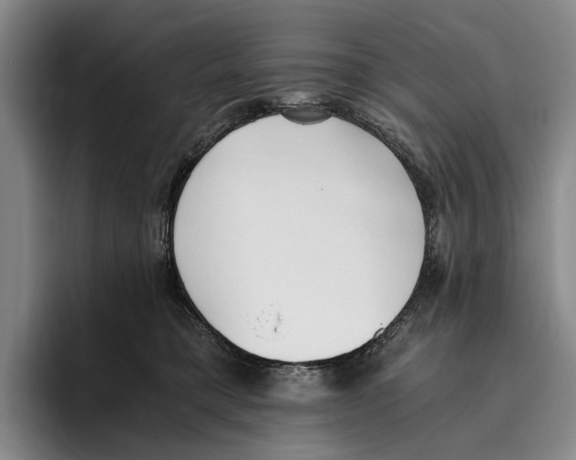 X0000096140421200802151338