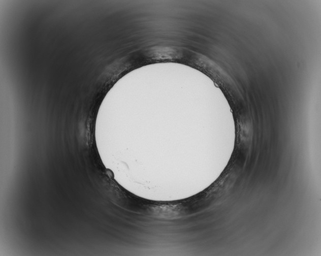 X0000096140422200802151338