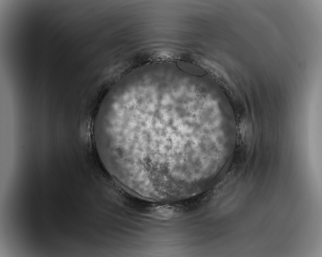 X0000096140423200802151338