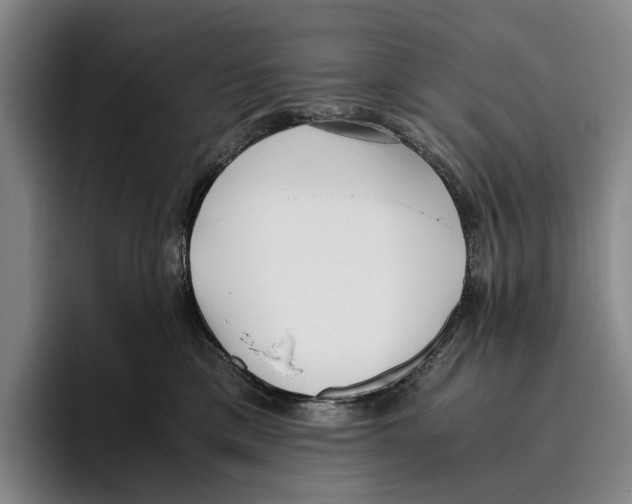 X0000096140425200802151338