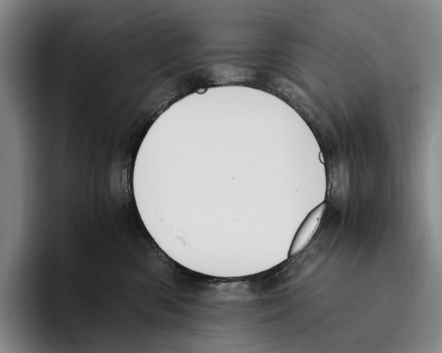 X0000096140426200802151338
