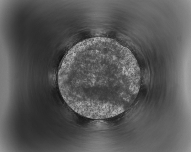 X0000096140427200802151338