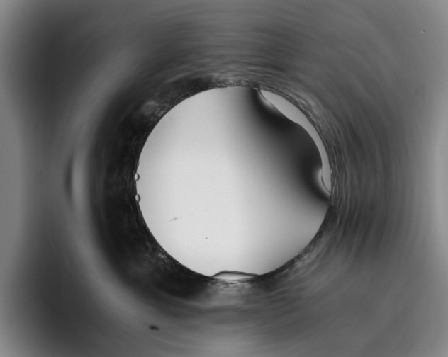 X0000096140429200802151338