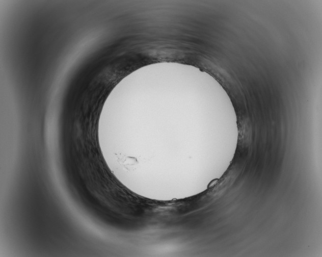 X0000096140430200802151338