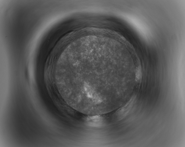 X0000096140431200802151338