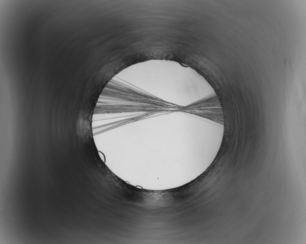 X0000096140432200802151338